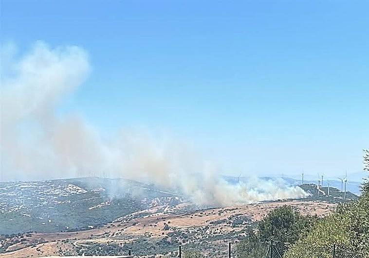 Active wildfire forces closure of A-377 between Casares and Manilva on the Costa del Sol