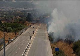 Video: Major wildfire on outskirts of Malaga forces access road to be closed