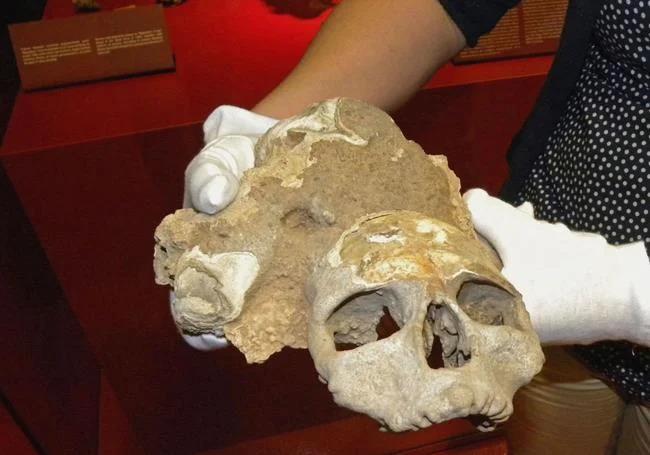 'Napoleon' at the museum of history.