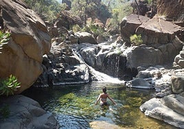 Seven things to see and do in Estepona on the Costa del Sol this summer