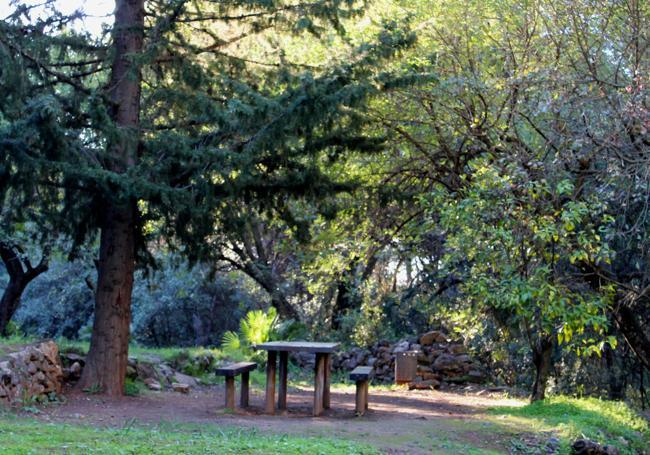 Cerezal botanical garden.