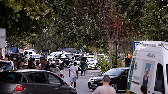 Man whose missing father was found dead in Mijas arrested for murder of another relative