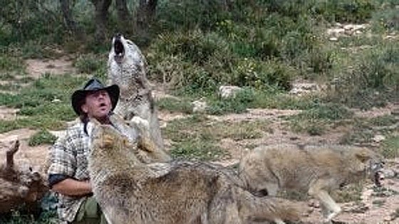 One of the founders of Lobo Park in Antequera dies in hospital after fire at the wolf reserve