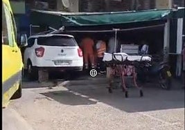 Car crashes into terrace of bar on Costa del Sol injuring several people