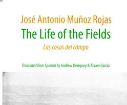 The Book
