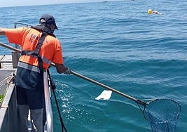 Clean-up work on the western Costa del Sol.