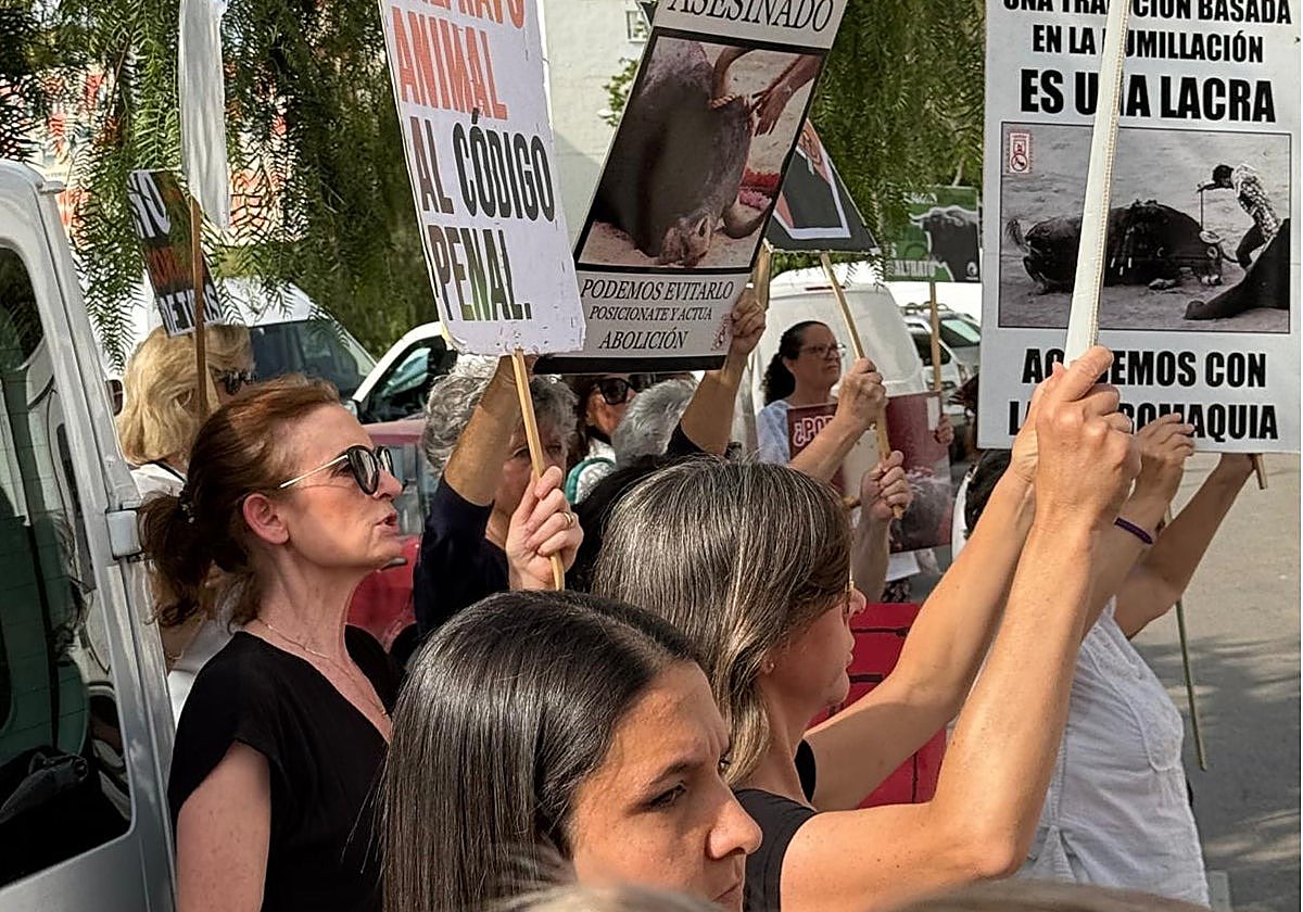 Protesters voice their opinions about bullfighting in Marbella earlier this year.