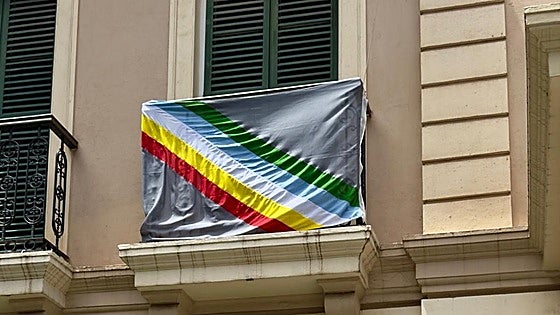 Flags celebrate Disability Pride month