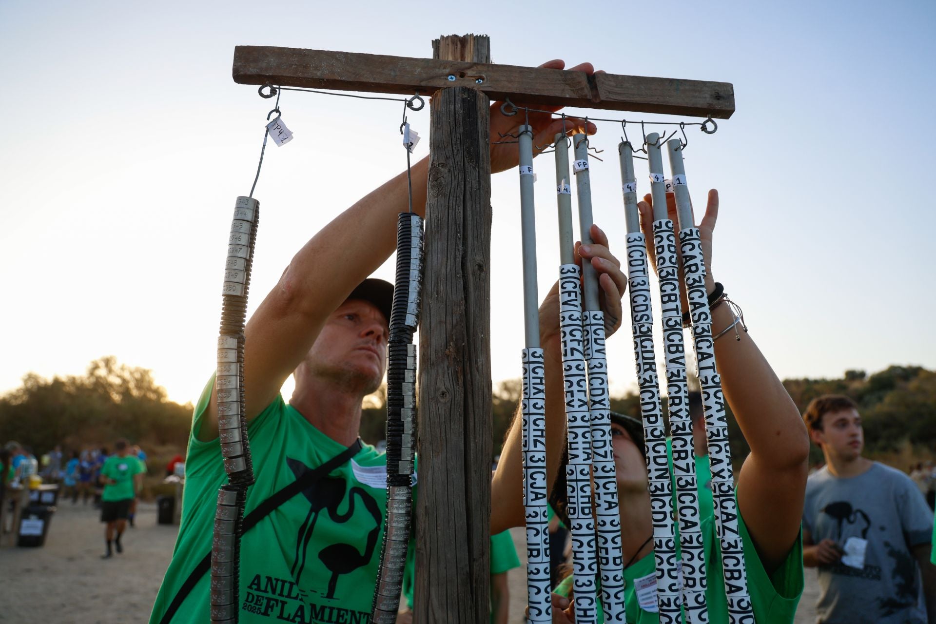 Flamingo ringing returns to Fuente de Piedra after years of drought