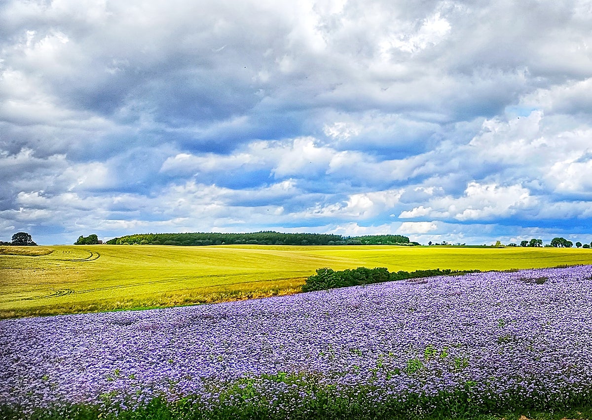 Imagen secundaria 1 - Båstad from the entrance to the centre of the town.
