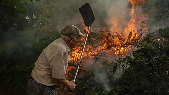 Fires rage in Ourense, León and Zamora with seven more seriously injured in Spain