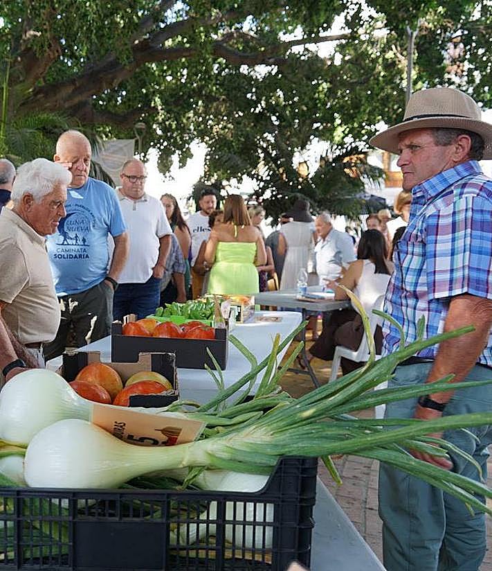 Imagen secundaria 2 - 'Bull's balls' reign supreme at Coín's tomato festival