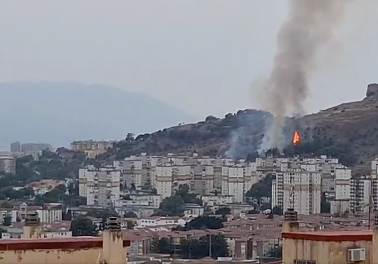 Wildfire declared in Malaga: two helicopters moboilised after more than 100 emergency calls received