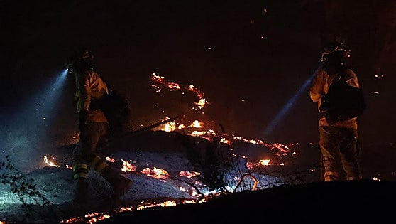 Second consecutive night of forest fires in Malaga city, this time in Cerro de la Tortuga area