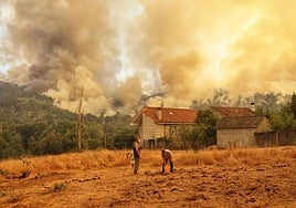 Wildfires continue to burn in the Castilla y León, Extremadura, Galicia and Asturias regions, as well as other parts of Spain today.
