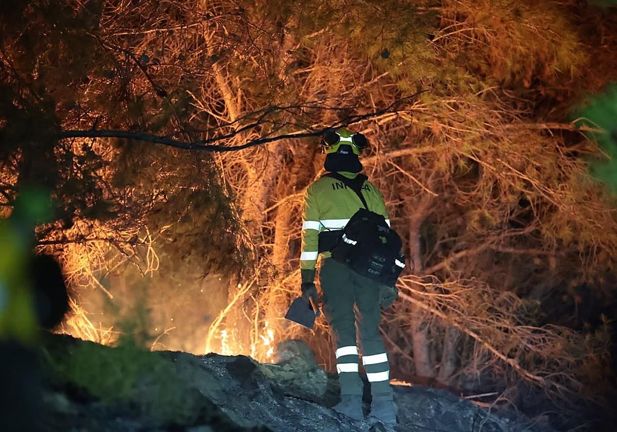 Imagen principal - Second consecutive night of forest fires in Malaga city, this time in Cerro de la Tortuga area
