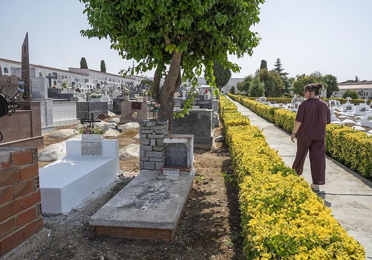 Funeral company reprimanded after worker leaves coffin in rubbish container near municipal cemetery in Spain