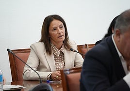 Mijas councillor for social services, Mari Francis Alarcón.