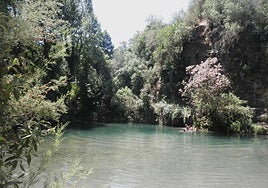 Seven things not to be missed when visiting the Serranía de Ronda's lower Genal valley this summer