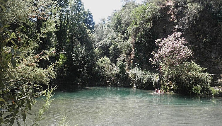 Seven things not to be missed when visiting the Serranía de Ronda's lower Genal valley this summer