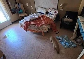 State of one of the rooms of this clandestine dwelling.