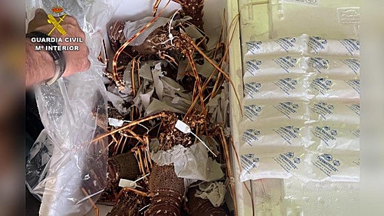 Guardia Civil reports eight restaurants in Spain's Balearic Islands for illegal seafood offences