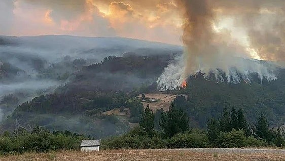 Spanish government declares 121 areas in 16 regions as 'disaster zones'