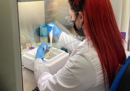 One of Malaga's Biobank staff working in the lab.