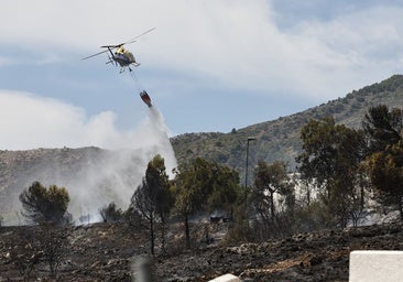 Neglect and abandonment of rural areas increases risk of forest fires in Malaga province