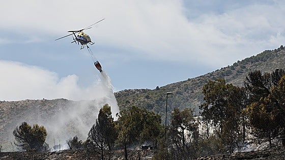 Neglect and abandonment of rural areas increases risk of forest fires in Malaga province