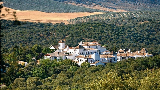 The unusual reason why Malaga is on the verge of 'stealing' Granada's only Michelin star