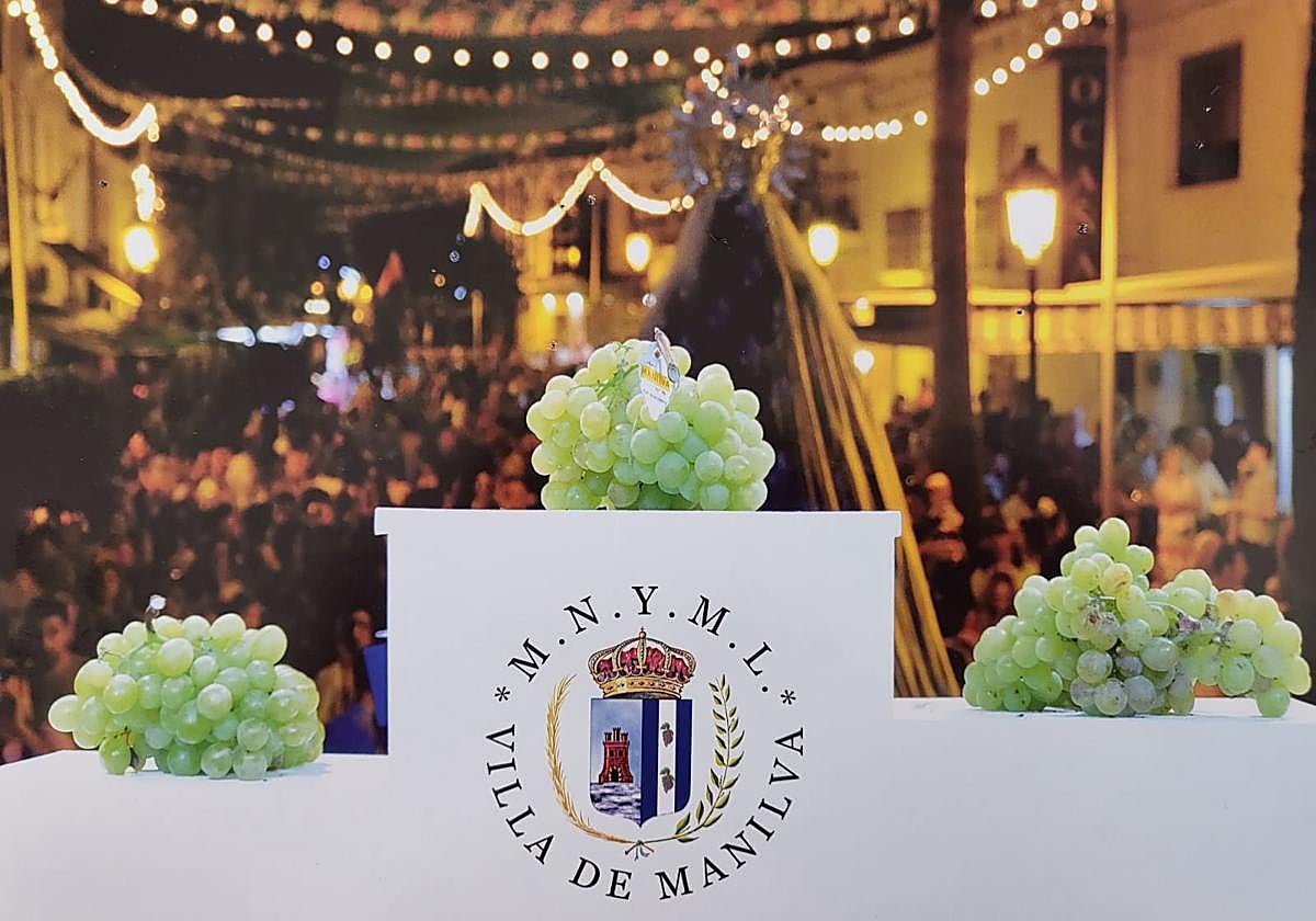 The Fiesta de la Vendimia grape harvest festival: a celebration of Manilva's wine excellence