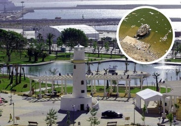 Park in capital of Costa del Sol closed to public while death of around 20 birds is investigated