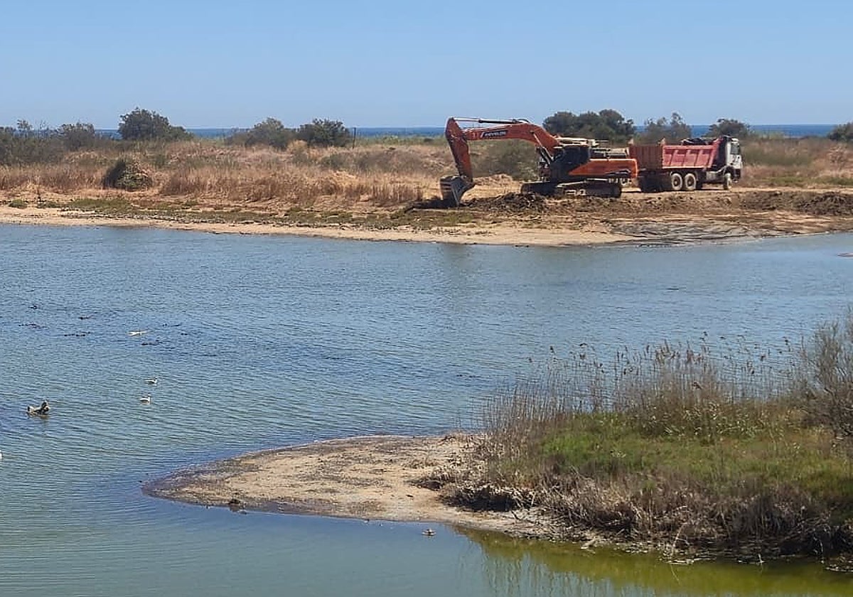 The work under way in the wetlands at the river mouth of the Guadalhorce.