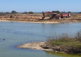 The work under way in the wetlands at the river mouth of the Guadalhorce.
