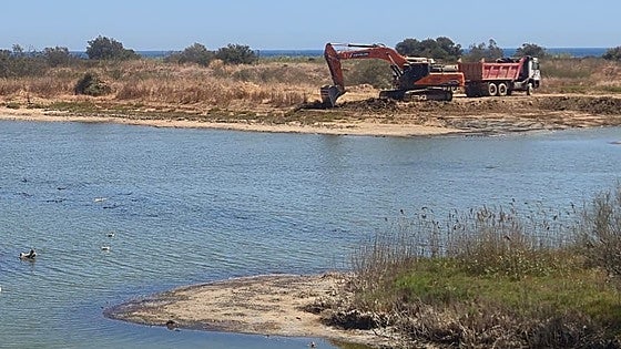 Work under way at mouth of Guadalhorce river in Malaga city to make it more 'bird-friendly'