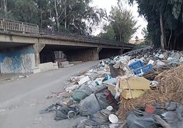 Piles of rubble, plastic and pruning waste have piled up under the A-357 bridge, at kilometer 47 as it passes through Cártama
