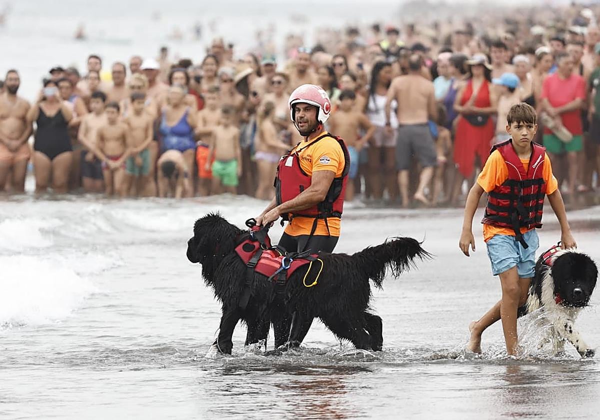 Imagen principal - Costa del Sol air show draws the crowds despite the cloud and rain, in photos and video