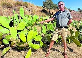 José Miguel Guzmán, producer of 'El Tío Lo Chumbo', proudly shows his prickly pear cactus in Coín.