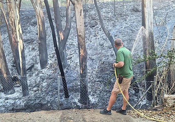 Initial investigation points to major Benalmádena blaze starting at a 'squatted property'