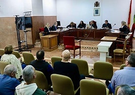 One of the hearings held at the Andalusian high court.