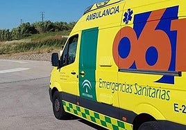 Elderly man dies after his tractor topples into gully near inland Malaga town