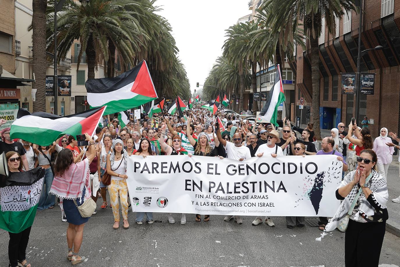 More than 2,000 protesters join Gaza 'genocide' march in Malaga, in images