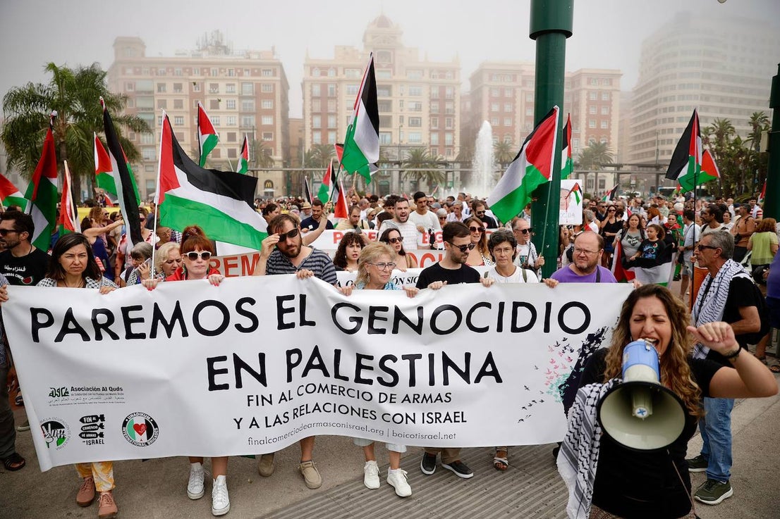 More than 2,000 protesters join Gaza 'genocide' march in Malaga, in images