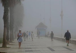 The taró, the main feature of the weather on Sunday along parts of the Malaga province coastline.
