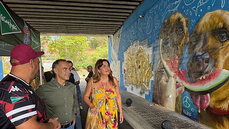 Benalmádena enjoys an ‘explosion of creativity’ during national graffiti competition