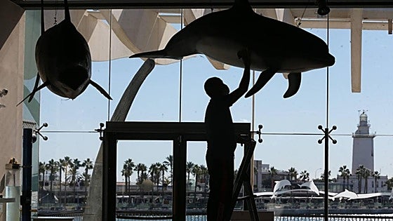 Malaga prepares to take over former Aula del Mar building to convert it into future Museo Alborán