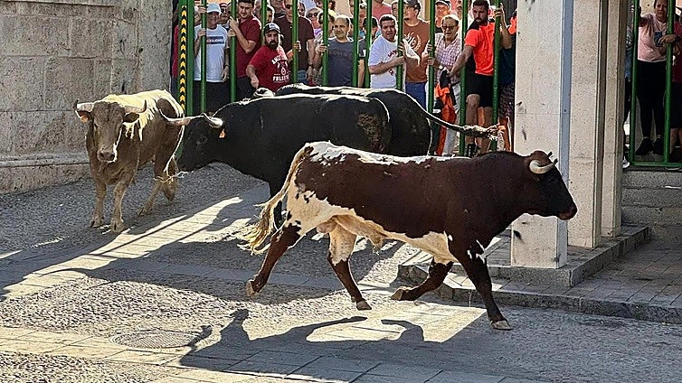 Man gored by bull at village fair in central Spain dies
