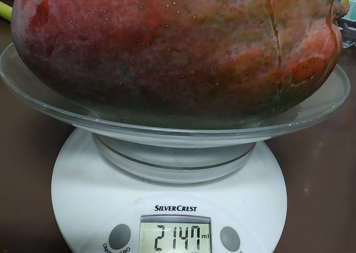 Imagen secundaria 1 - Some of the images of giant mangoes posted on social media.