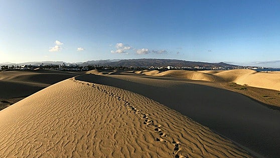 Gran Canaria: The idyllic escape for nature lovers